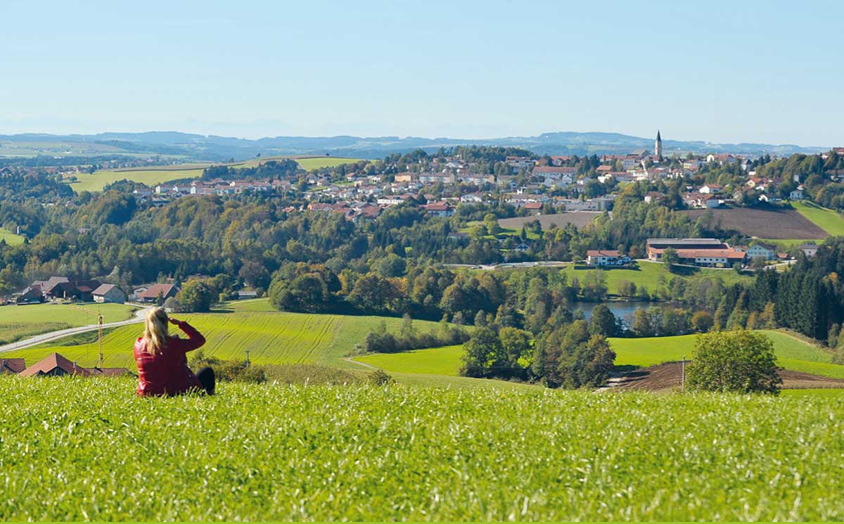 Den Bayerischen Wald entdecken